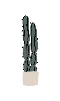 Drawing of a cactus